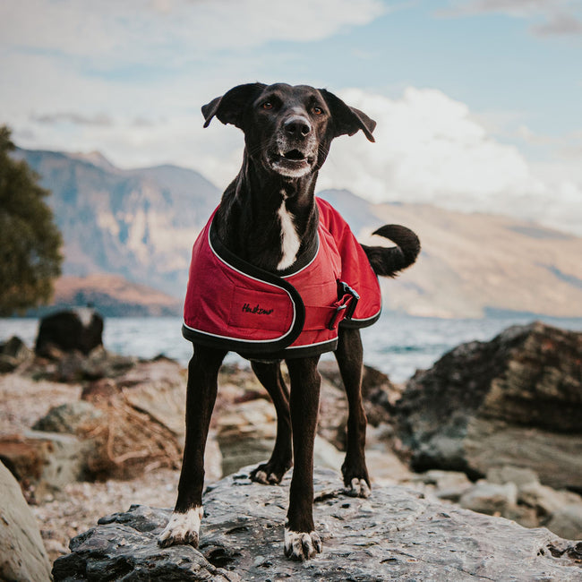 Huskimo Summit Pro Coat Uluru