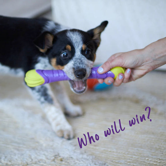 Extreme Play Chew Stick Medium