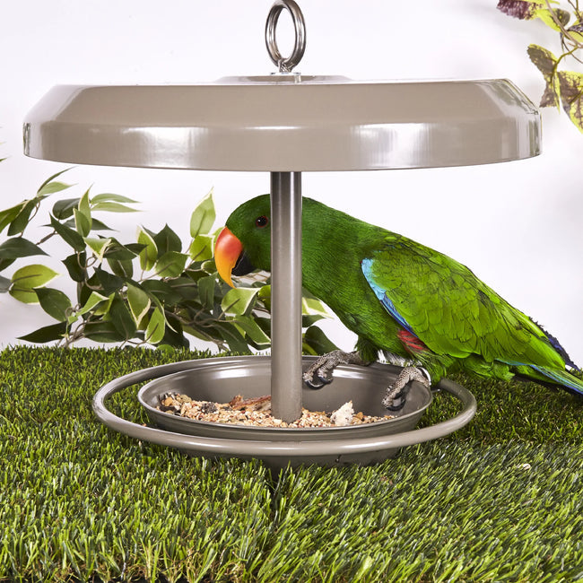 Kazoo Outdoor Bird Feeder