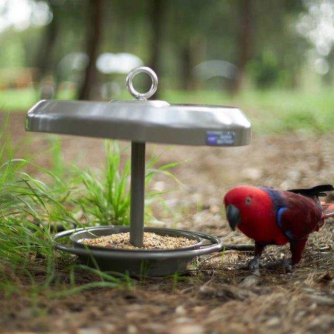 Kazoo Outdoor Bird Feeder