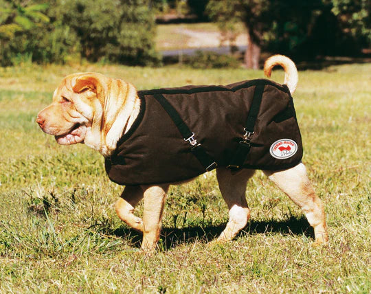 Thermo Master Oilskin Dog Coat