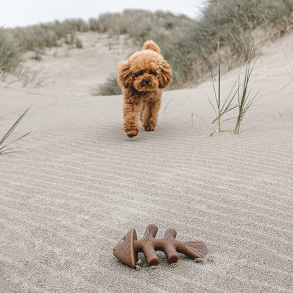 Benebone Fishbone Dog Chew Toy
