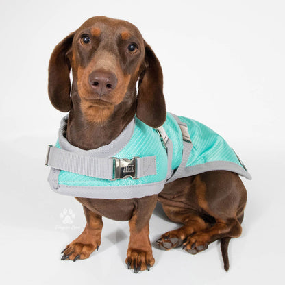 Zeez Supreme Dachshund Coat Mint Green & Grey