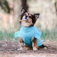 Huskimo Jumper Frill Knit Tiffany Blue