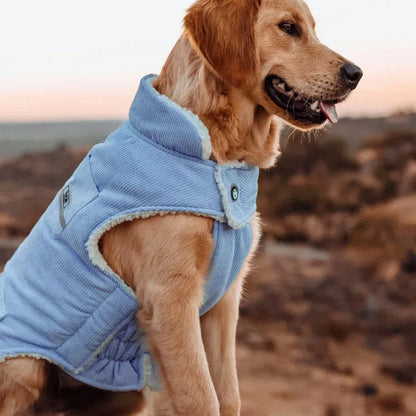 Huskimo Surfer Dog Coat - Blue