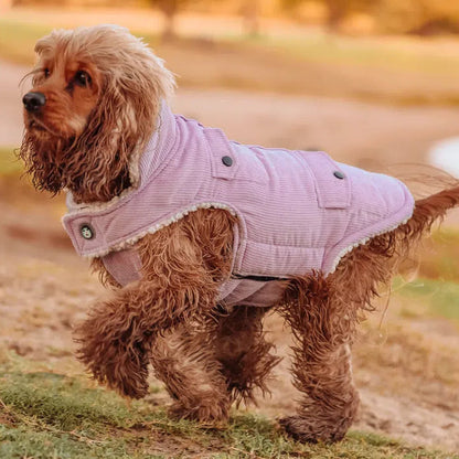Huskimo Surfer Dog Coat - Mauve