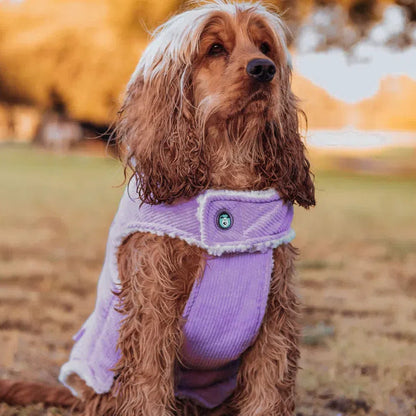 Huskimo Surfer Dog Coat - Mauve