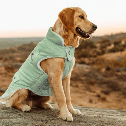 Huskimo Surfer Dog Coat - Sage