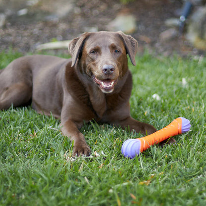 Extreme Play Chew Stick Large