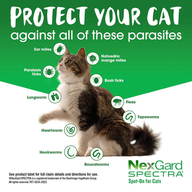 NexGard Spectra Spot-On for Cats 0.8-2.4 kg