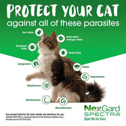 NexGard Spectra Spot-On for Cats 0.8-2.4 kg