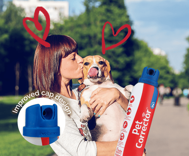 Pet Corrector 50ml
